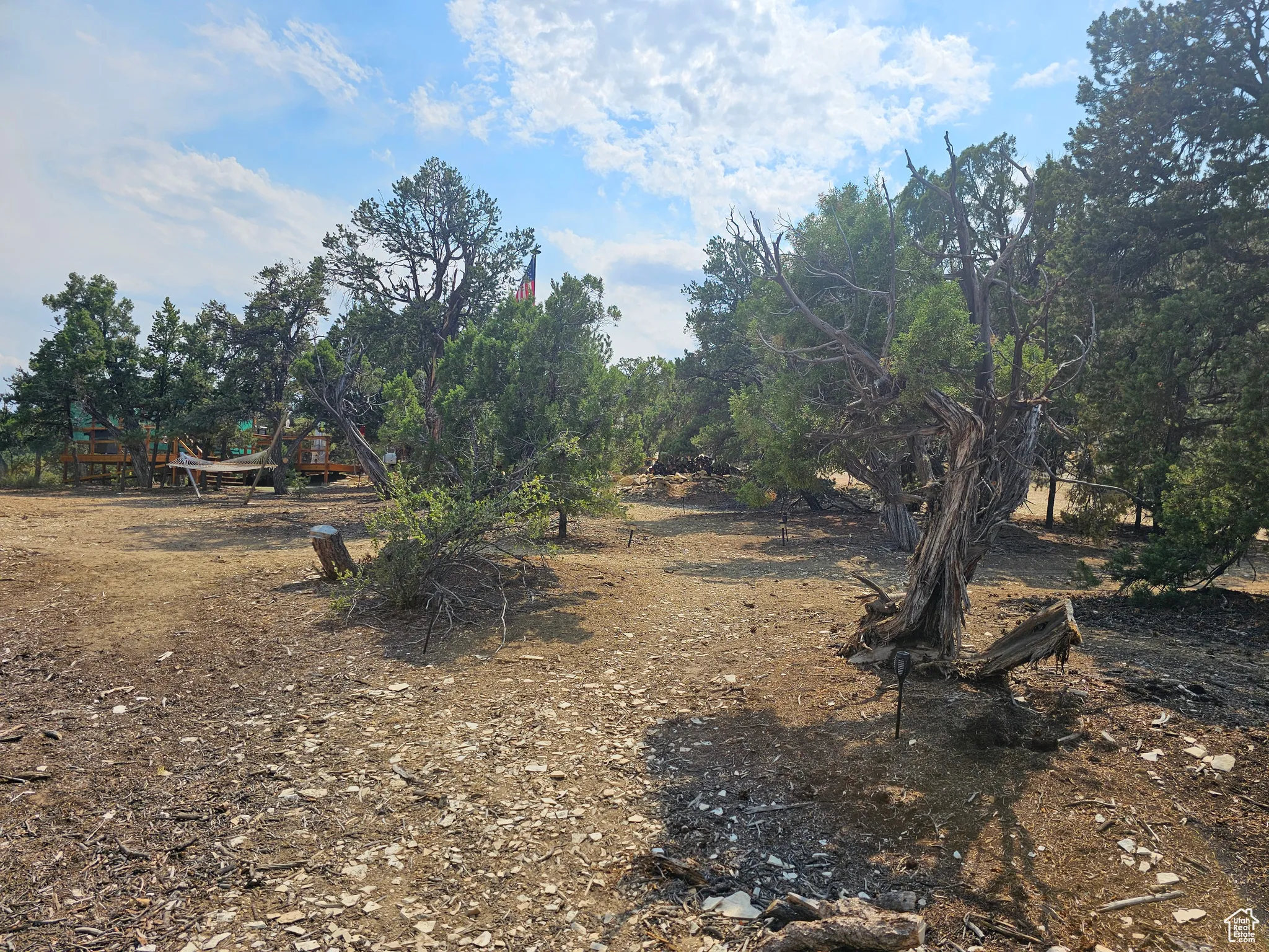 View of undeveloped land