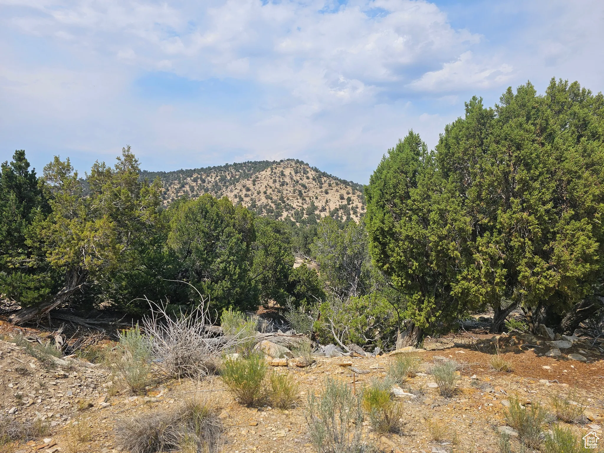 View of mountain background