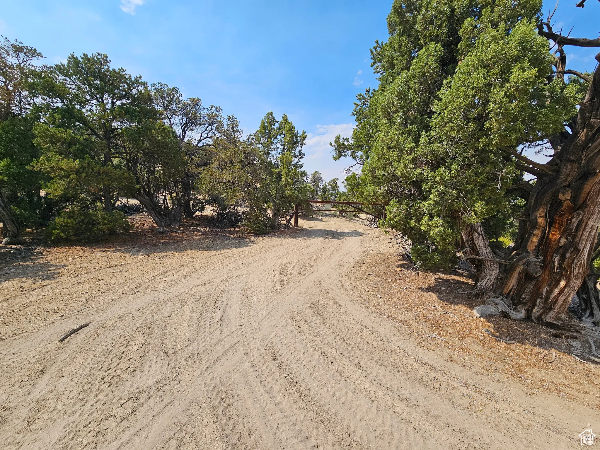 View of dirt / gravel road