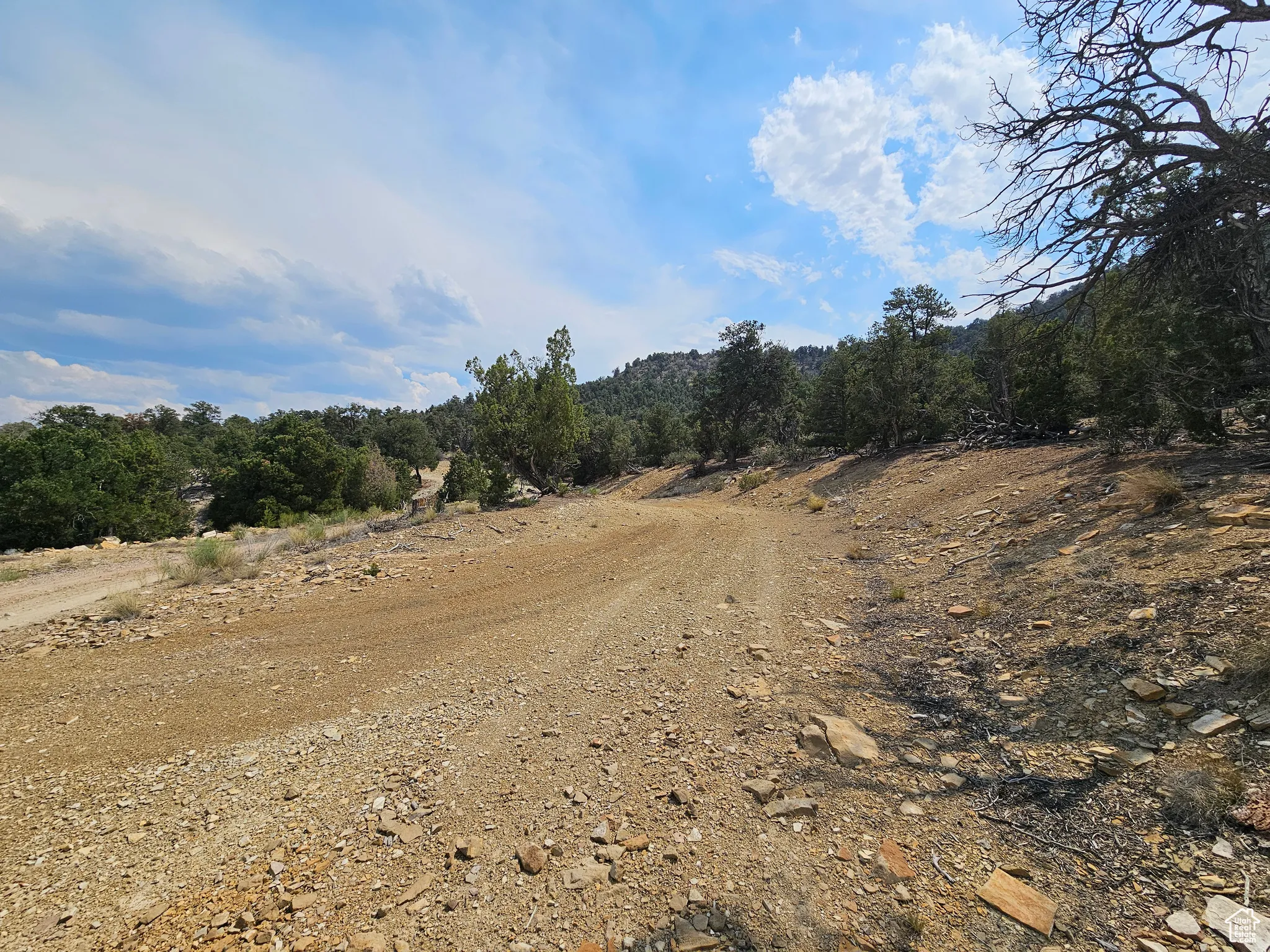 View of dirt / gravel road featuring a rural view