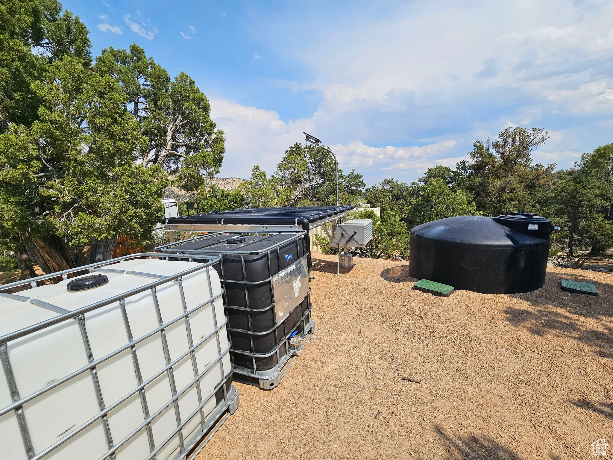 View of yard featuring view of scattered trees