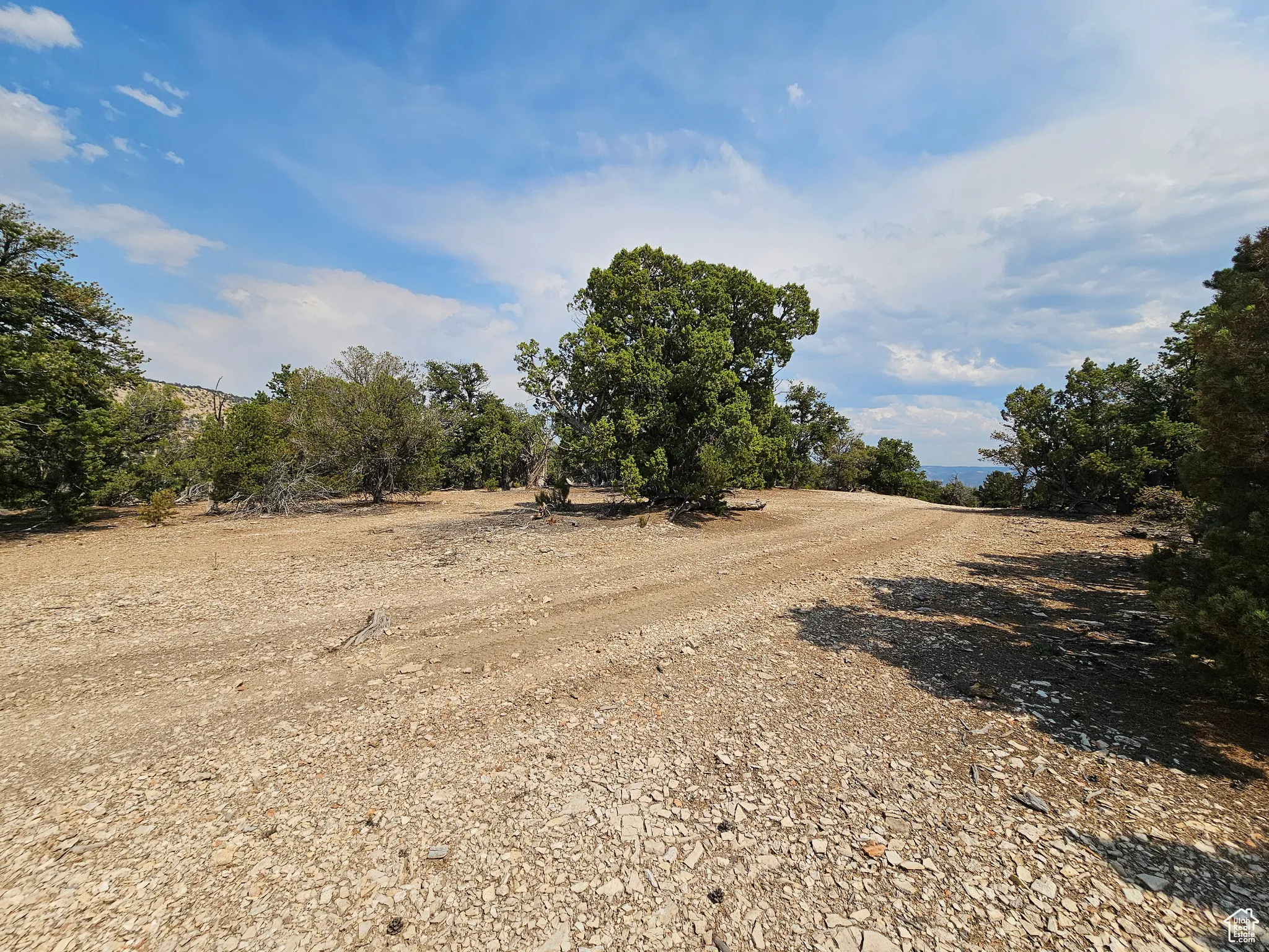 View of yard featuring a rural view