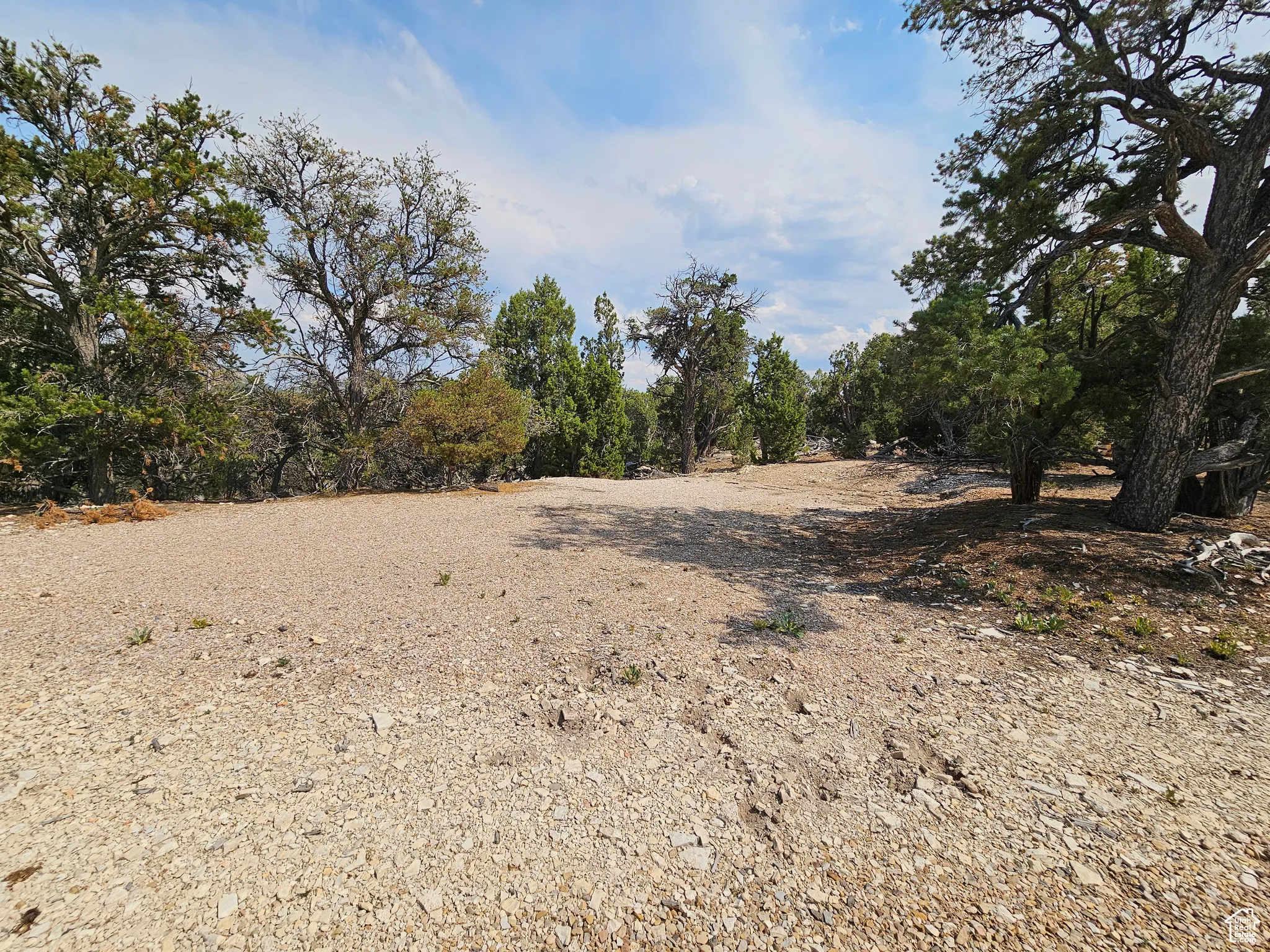 View of undeveloped land