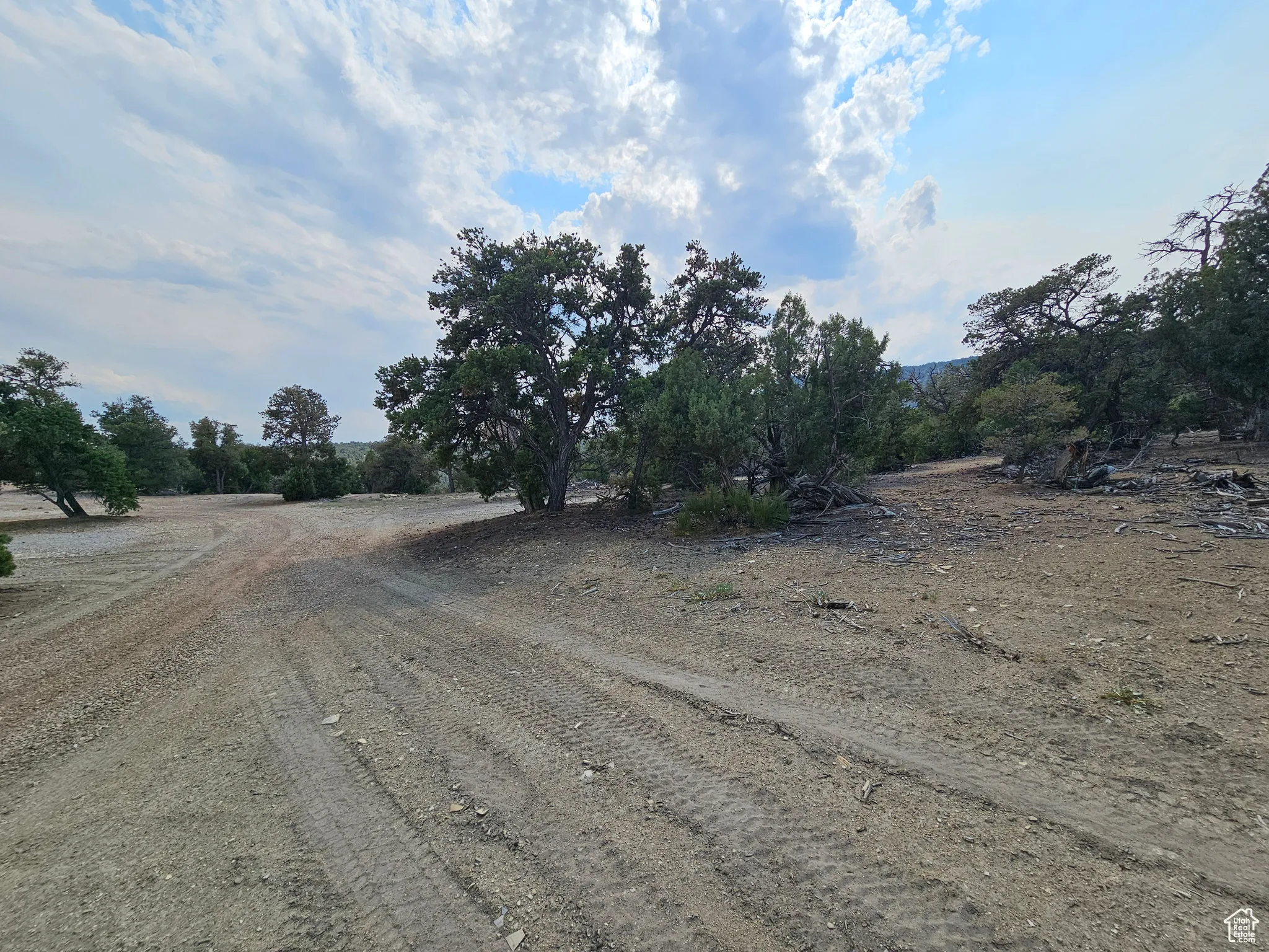 View of dirt / gravel road with a rural view