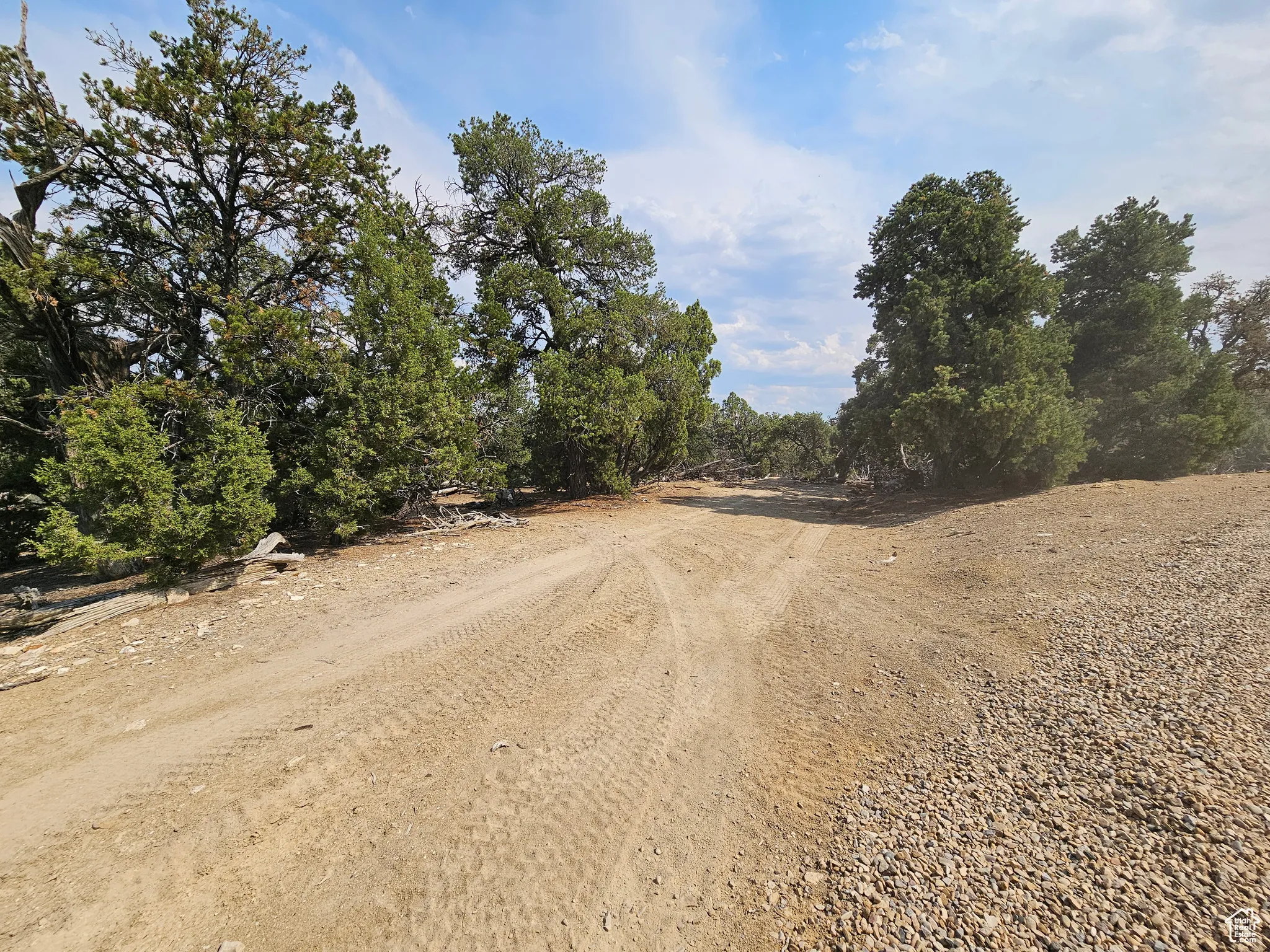 View of dirt / gravel road