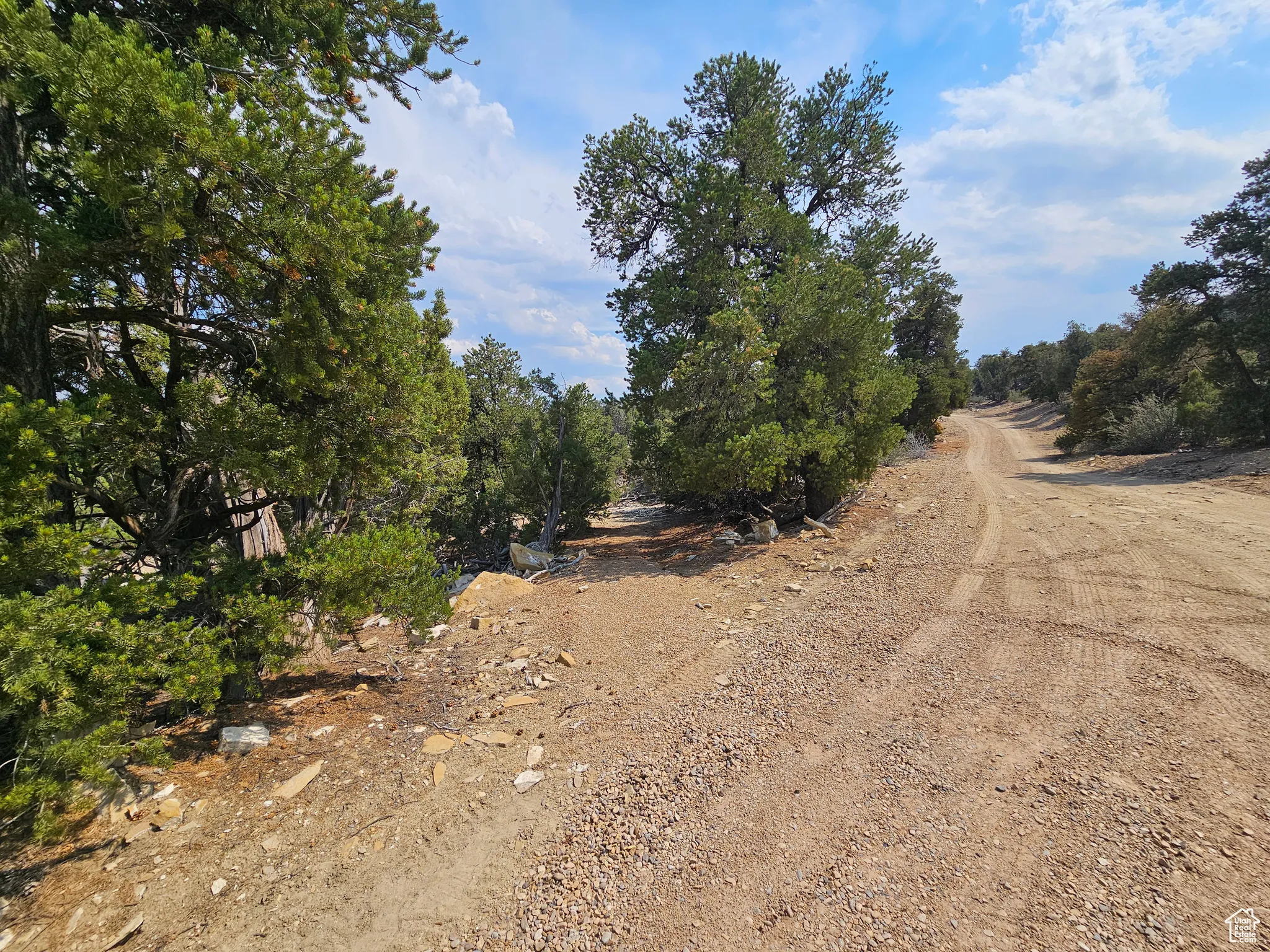 View of dirt / gravel road
