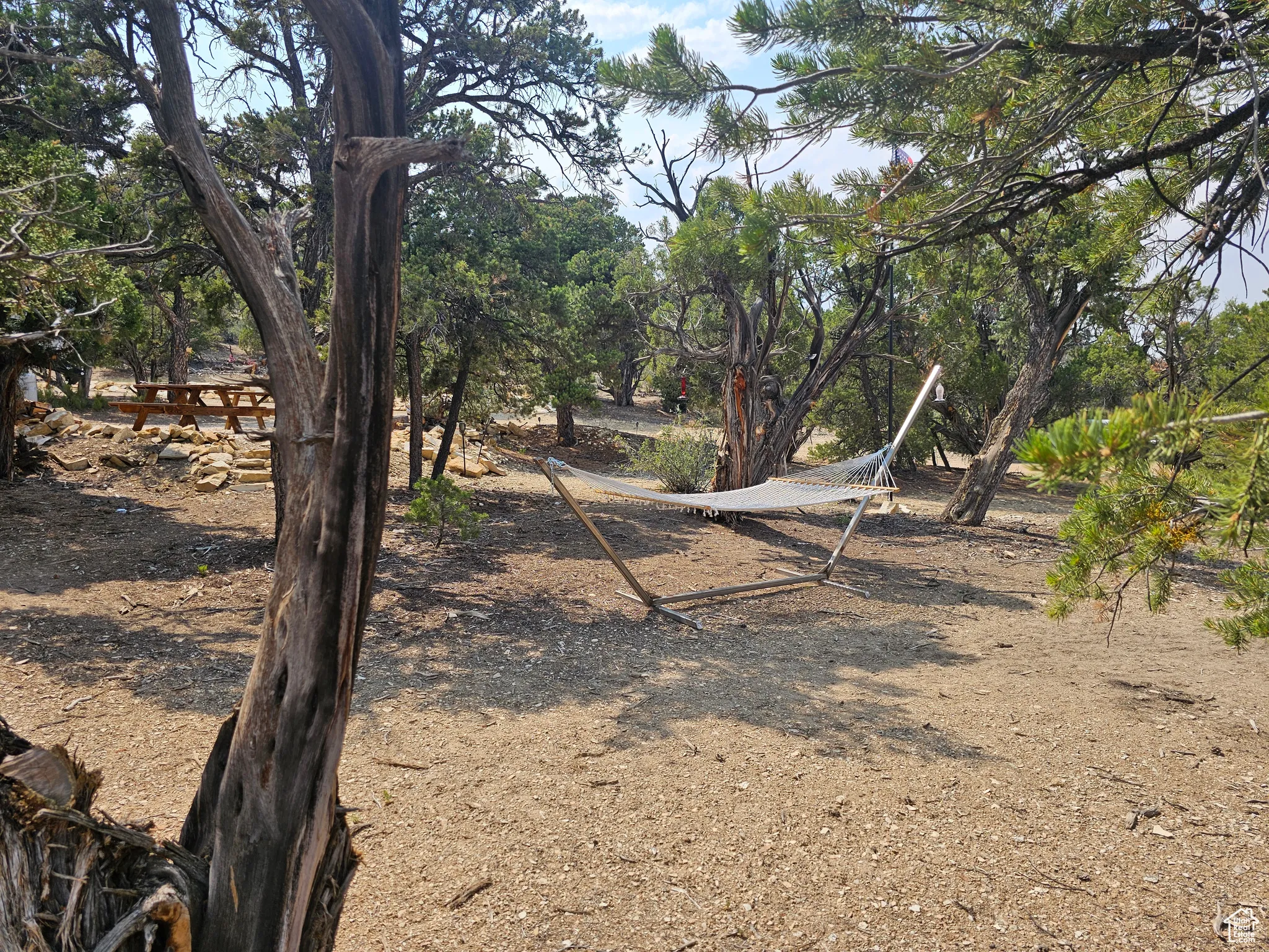 View of yard featuring view of wooded area