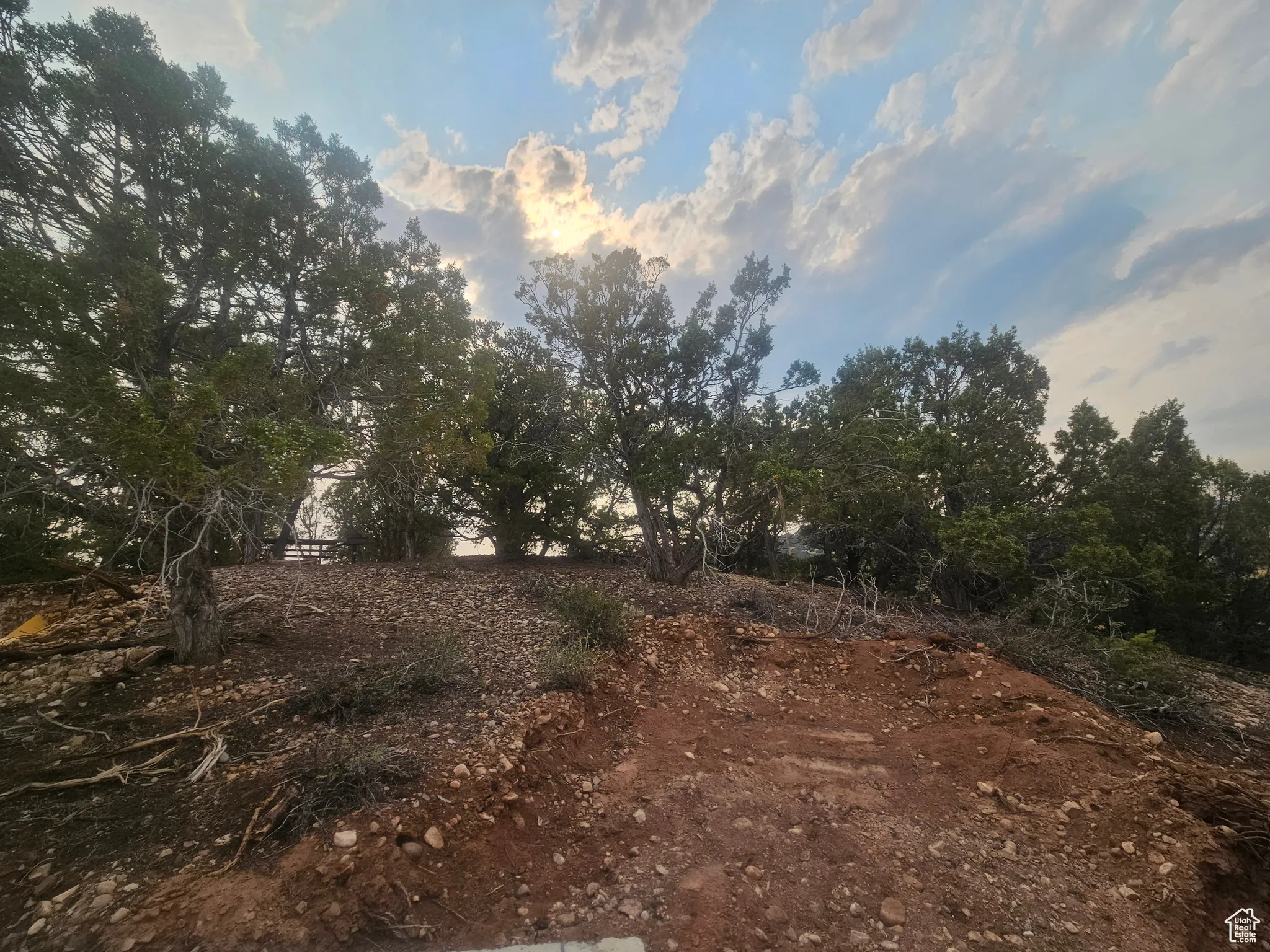 Beautiful Property Views - Nice Large Trees!