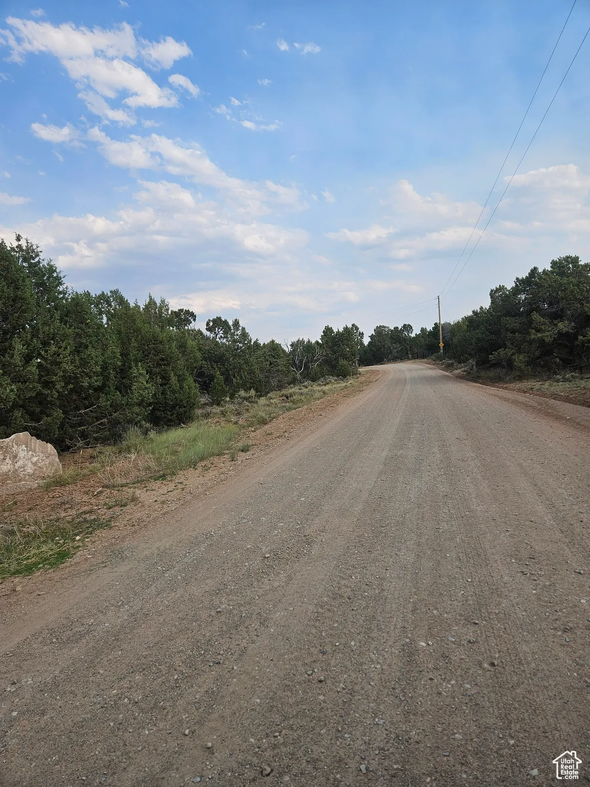 Road Views