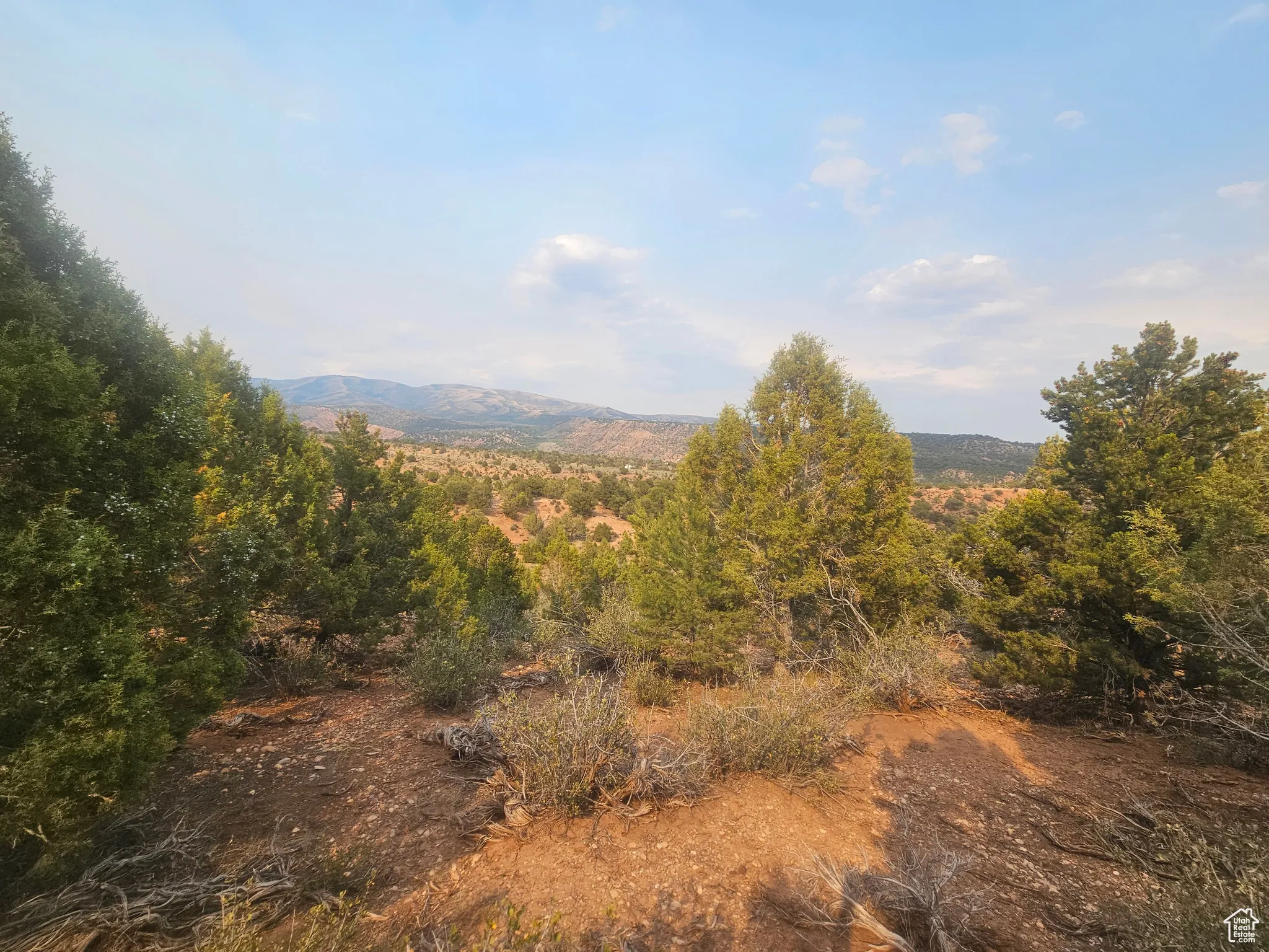 Beautiful Property Views - Nice Large Trees!