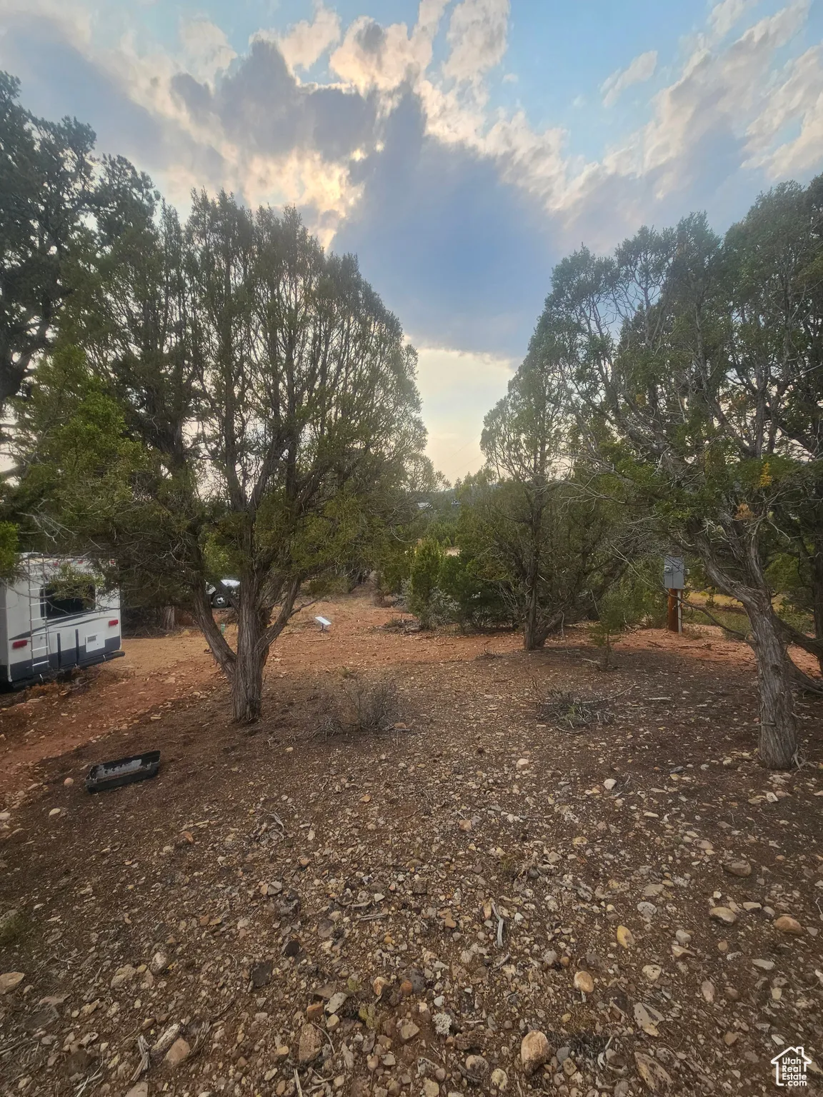 Beautiful Property Views - Nice Large Trees!