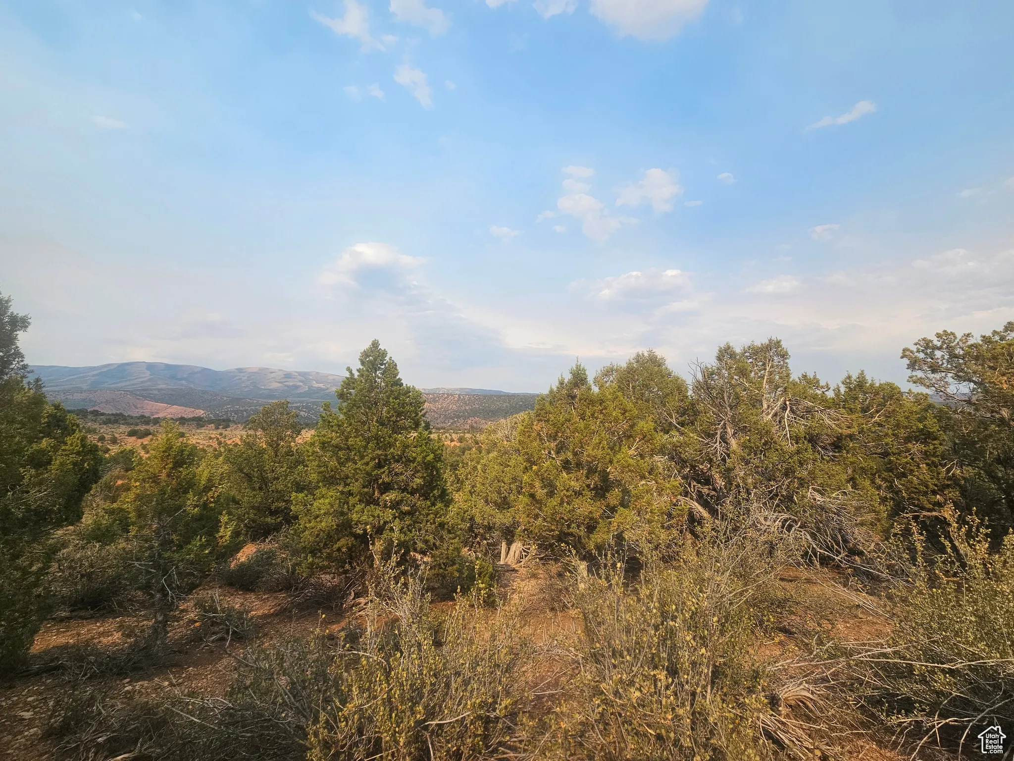 Beautiful Property Views - Nice Large Trees!