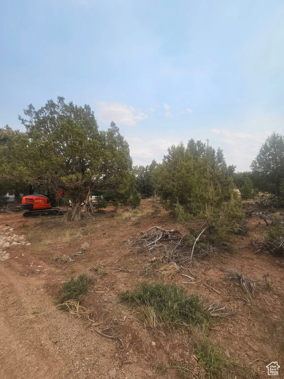 Beautiful Property Views - Nice Large Trees!