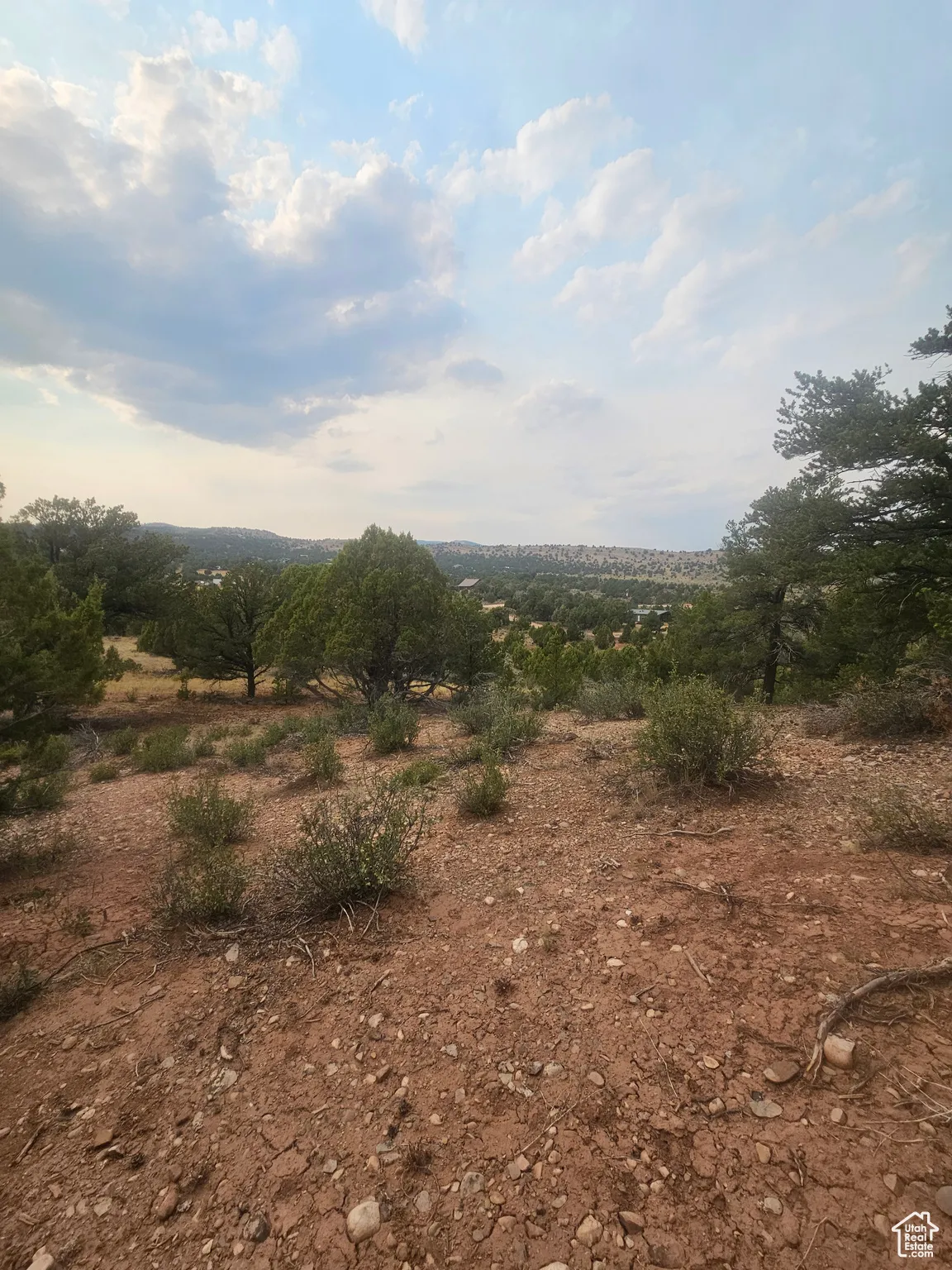 Beautiful Property Views - Nice Large Trees!
