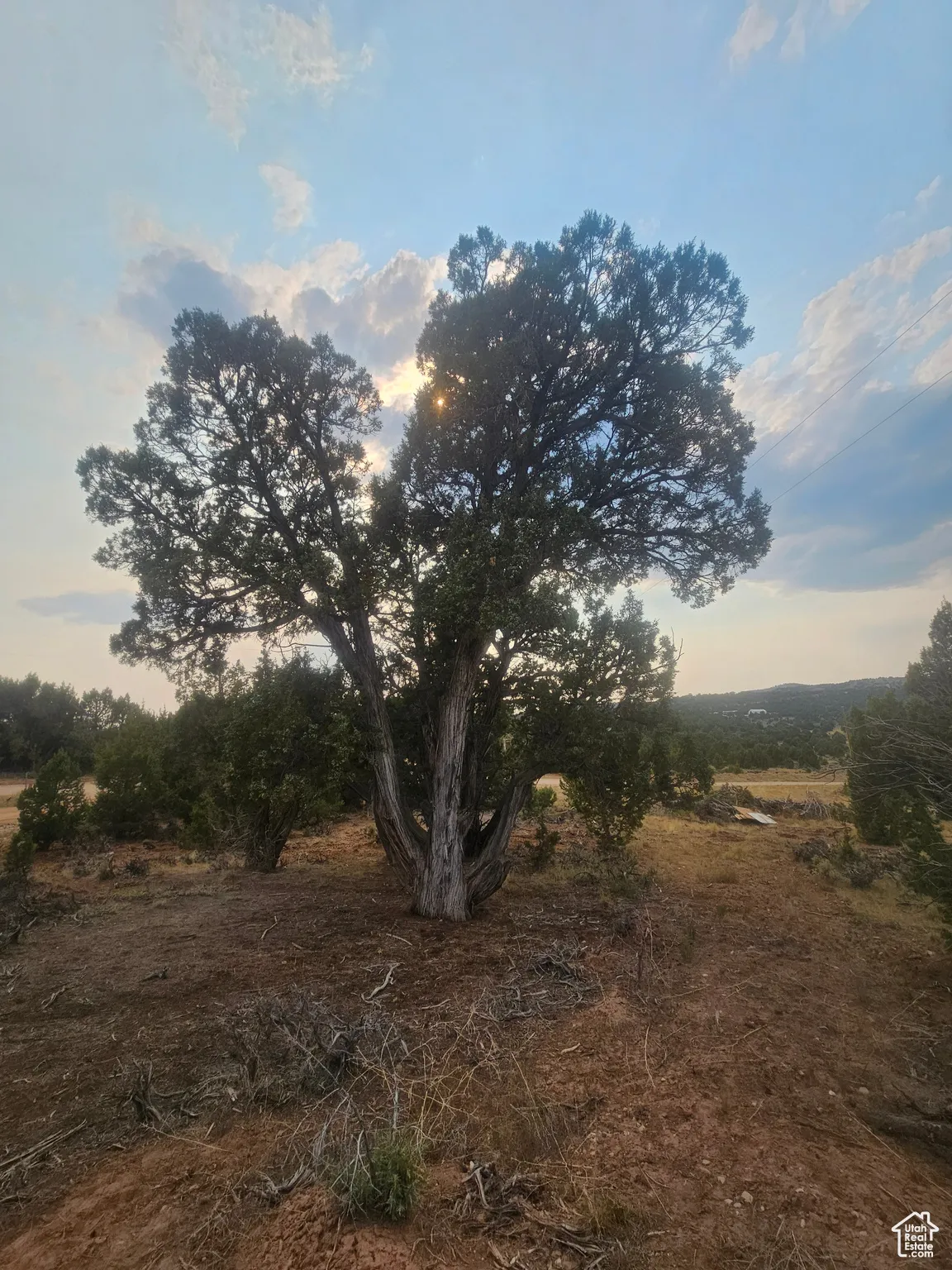 Beautiful Property Views - Nice Large Trees!
