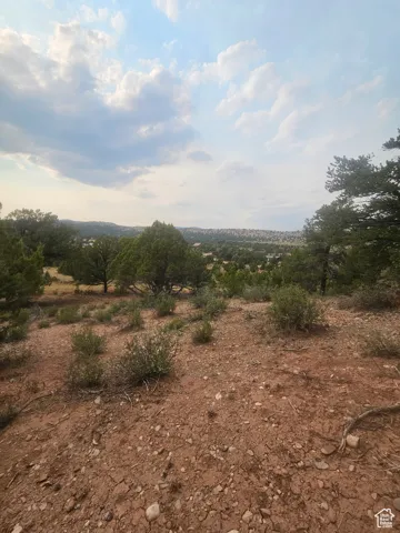 Beautiful Property Views - Nice Large Trees!