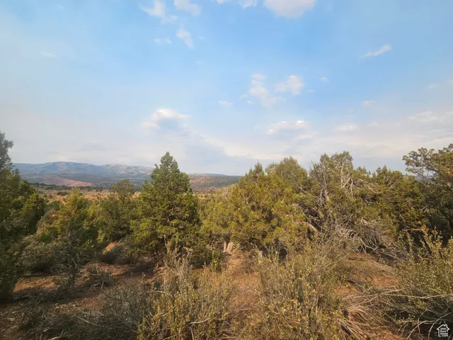 Beautiful Property Views - Nice Large Trees!