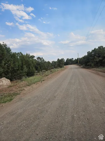 Road Views