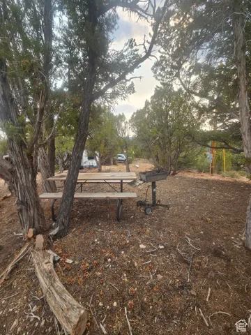 Picnic Area