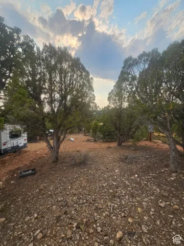 Beautiful Property Views - Nice Large Trees!