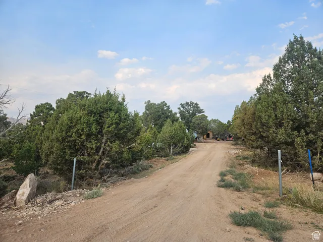 Driveway Entrance