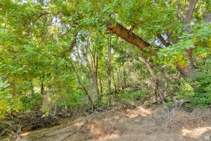 View of nature