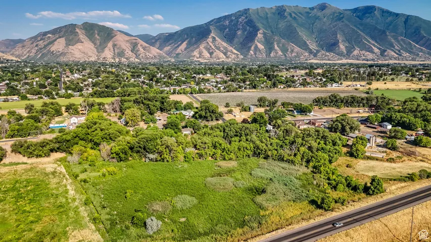 View of mountain background featuring a tree filled landscape