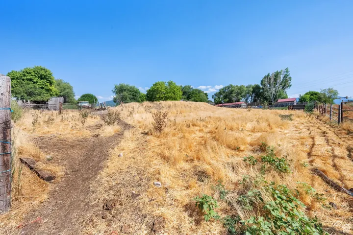 View of yard featuring a view of rural / pastoral area