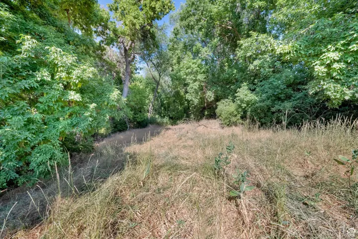 View of undeveloped land