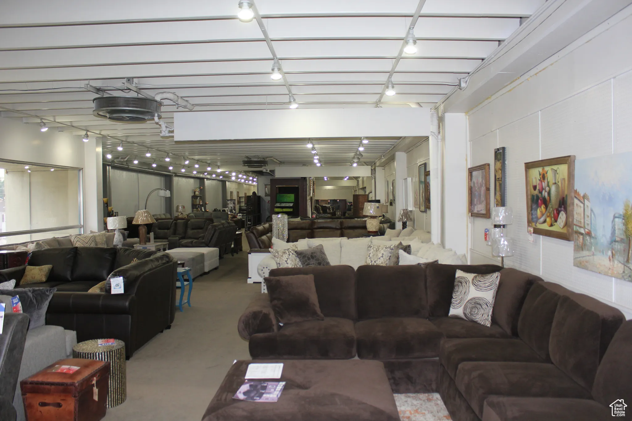 Living area featuring rail lighting and carpet floors