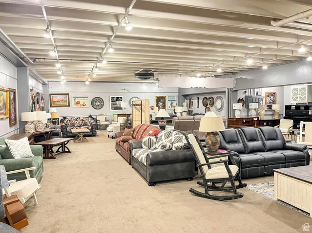 Living room featuring rail lighting and carpet floors