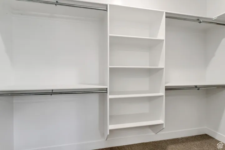 Spacious closet featuring carpet flooring