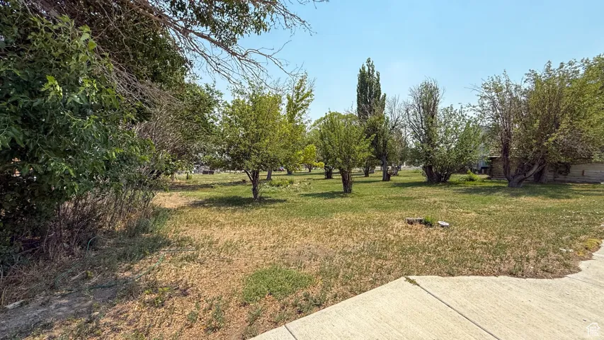 View of green lawn