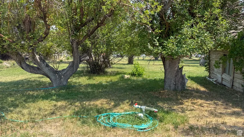 View of grassy yard