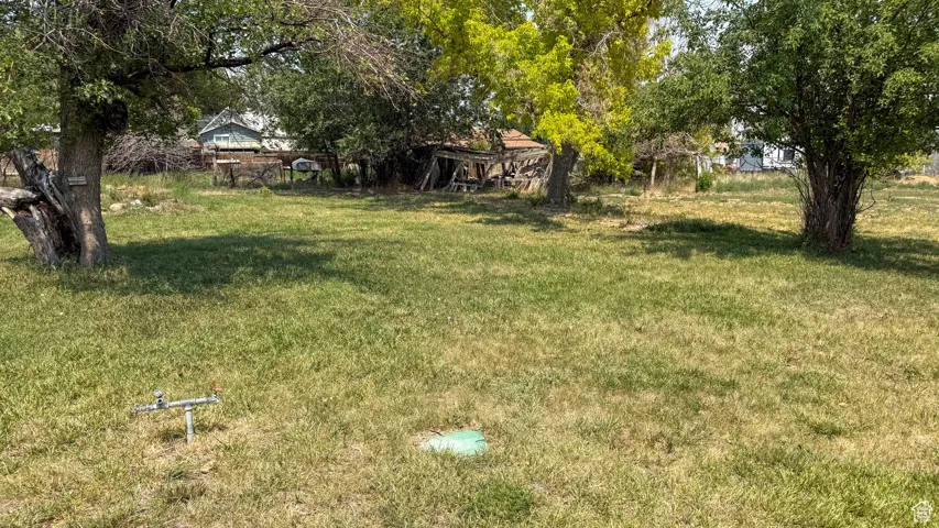 View of green lawn