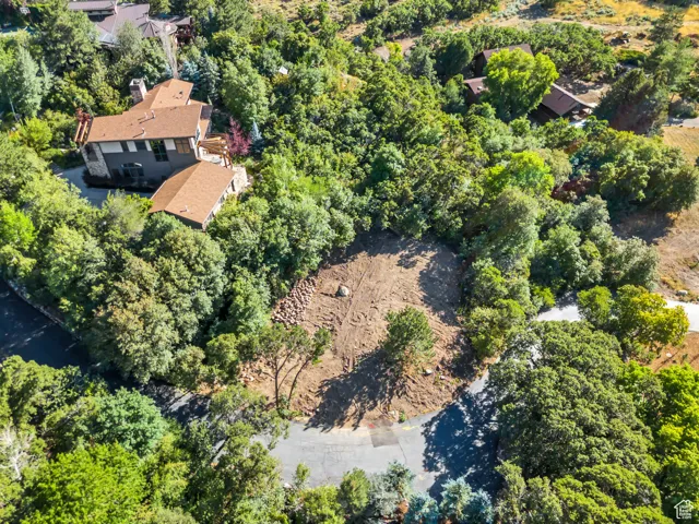 Aerial view of property's location