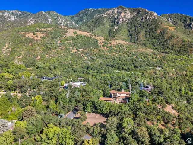 Mountain view with a forest