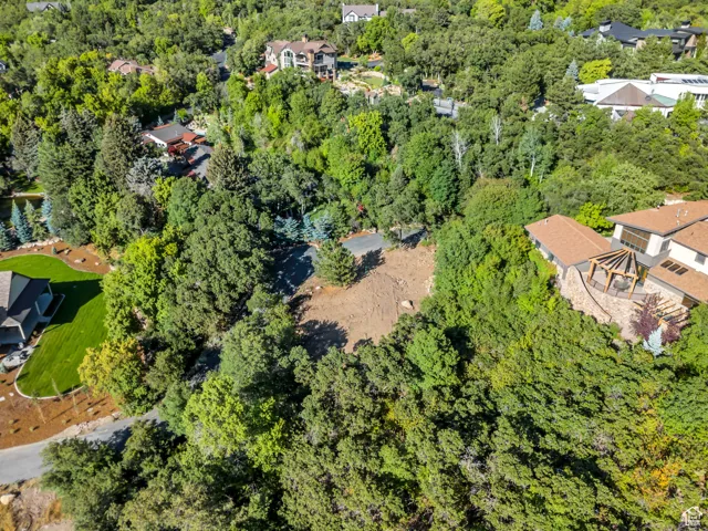 Aerial view of residential area with a heavily wooded area
