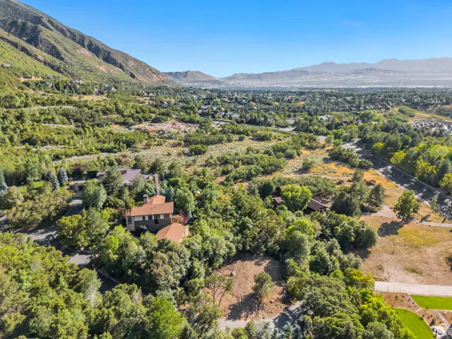 Bird's eye view of a mountainous background