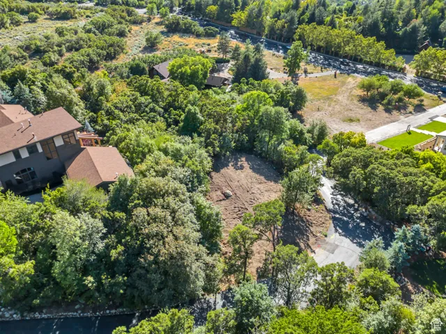 Drone / aerial view of a heavily wooded area