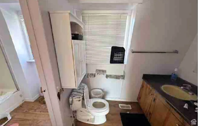 Bathroom featuring wood finished floors, an enclosed shower, and vanity