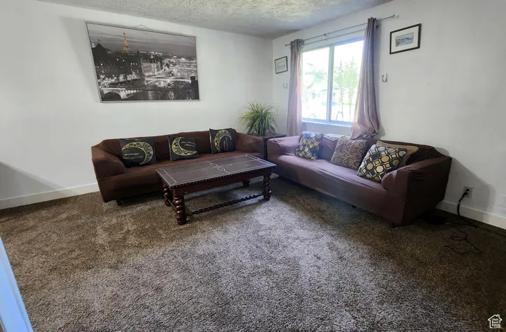 Carpeted living room featuring baseboards and a textured ceiling
