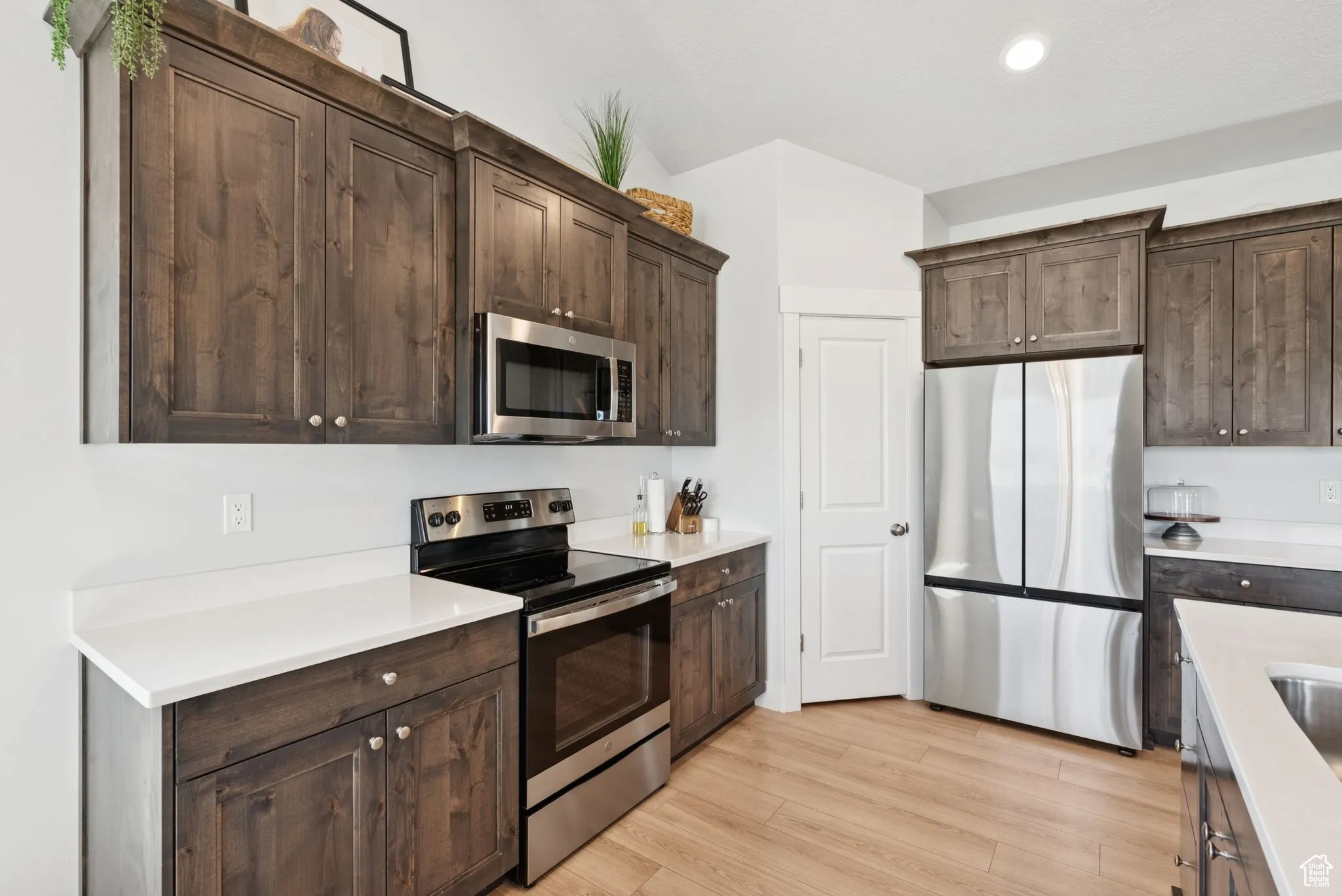 Kitchen with appliances with stainless steel finishes, light wood-type flooring, dark brown cabinetry, light countertops, and recessed lighting