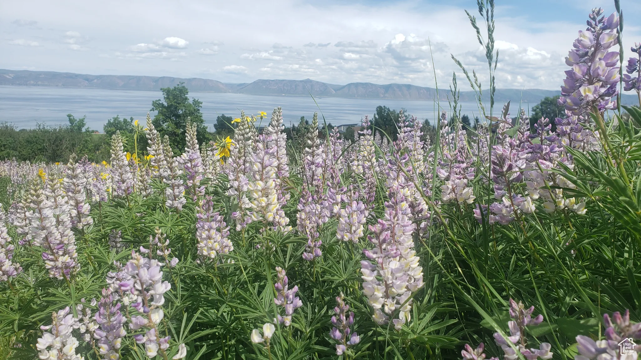 View of mountain background with a nearby body of water
