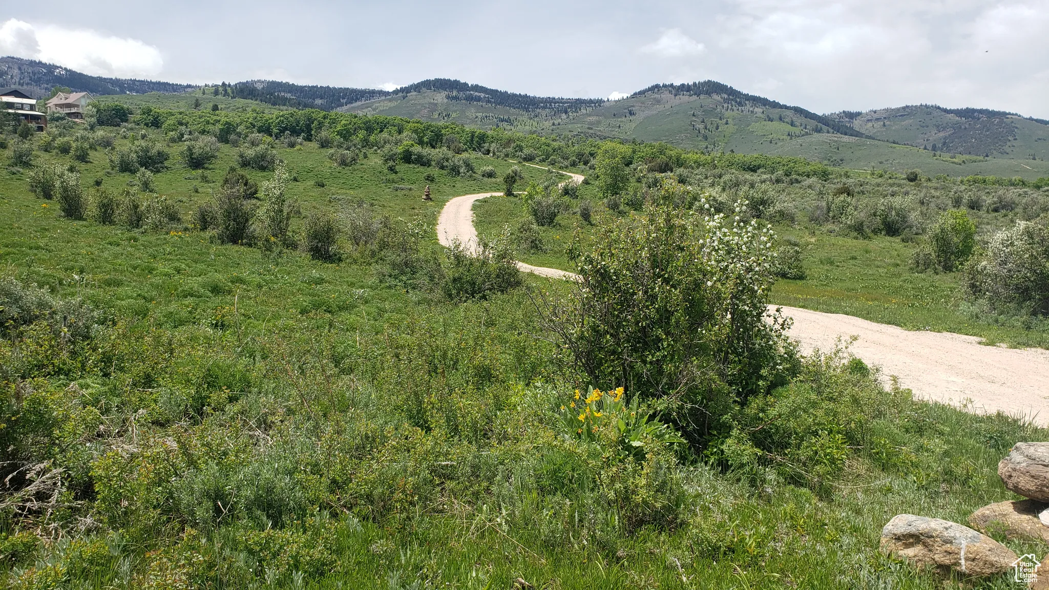 Mountain view