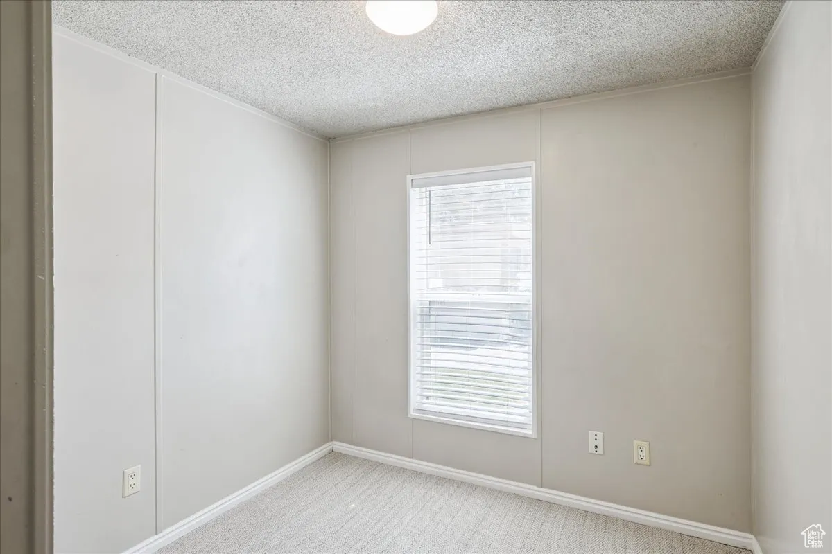 Empty room with light colored carpet, a textured ceiling, and a decorative wall