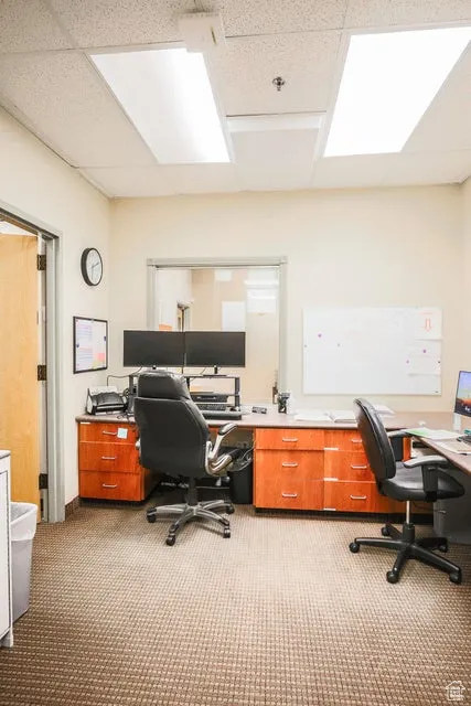 Office with a paneled ceiling and light carpet