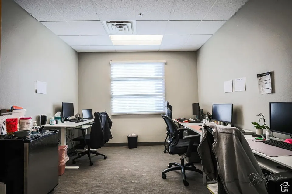 Office area featuring a drop ceiling and carpet flooring