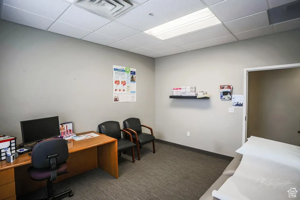 Carpeted office with a paneled ceiling