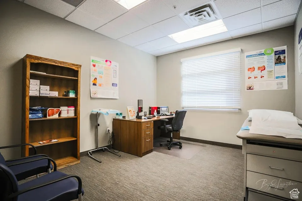 Office featuring carpet floors and a drop ceiling